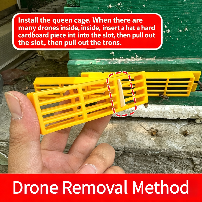 10Pcs Multi‑Functional Bee Esc - Drone Multispectral review and price